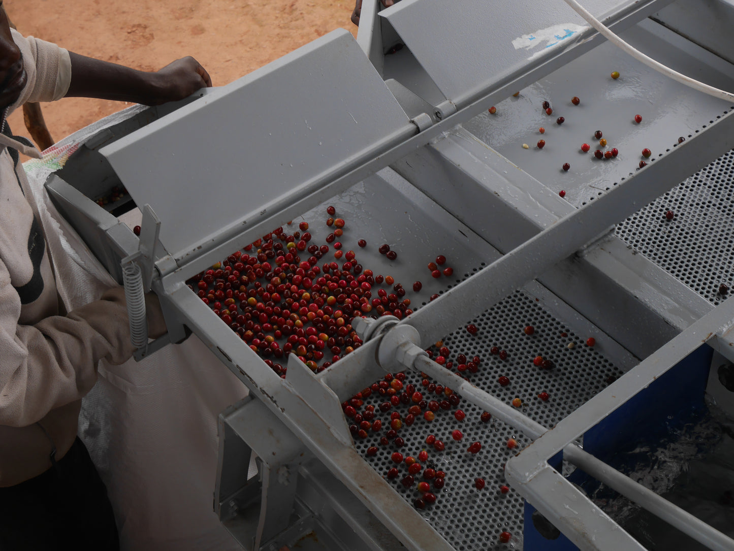 Kawa Ziarnista Specialty - Fruity Filter Blend – Etiopia & Rwanda