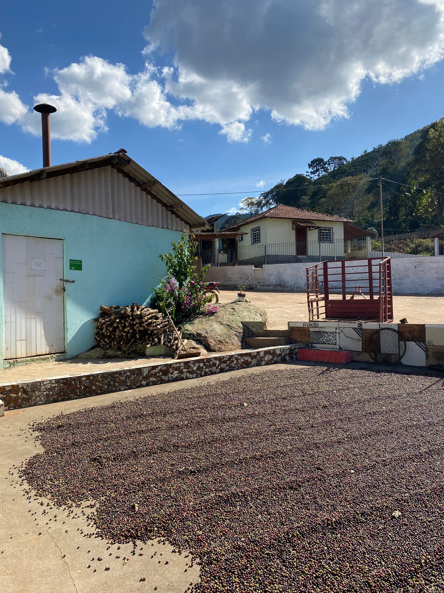 Kawa Ziarnista Specialty - Cup of Joe Espresso – Brazylia, Fazenda Sertaozinho