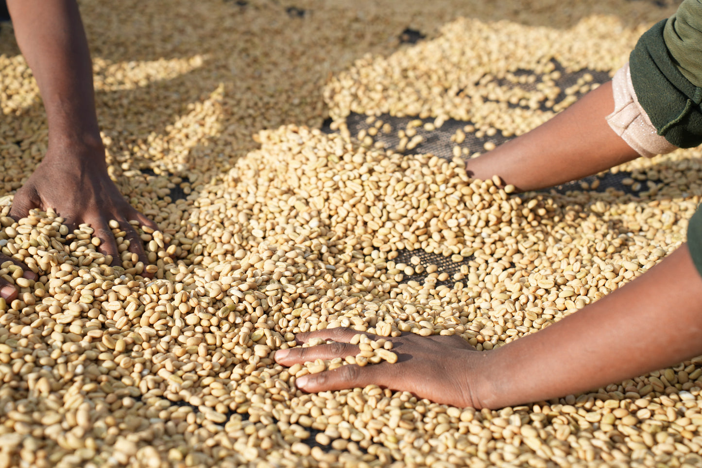 Kawa Ziarnista Specialty - Etiopia Nº14, Boreta, Natural