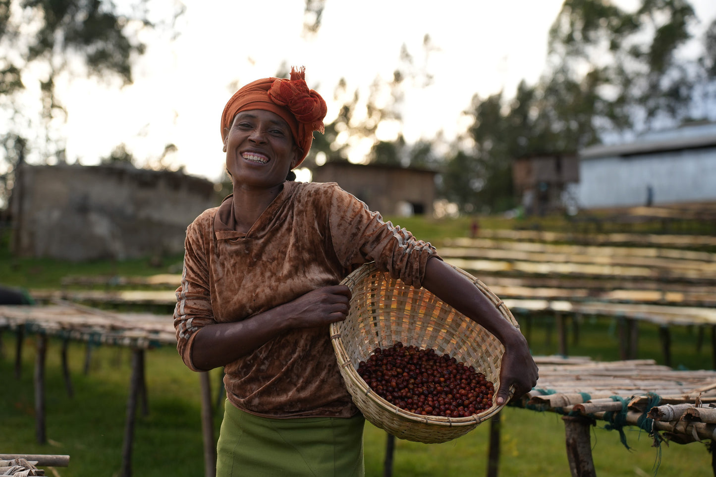 Kawa Ziarnista Specialty - Etiopia Nº14, Boreta, Natural