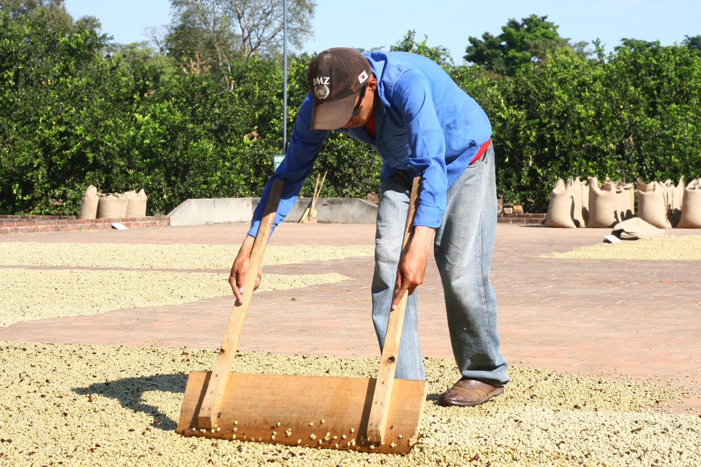 Kawa Ziarnista Specialty - Player Espresso – Salwador, El Borbollon